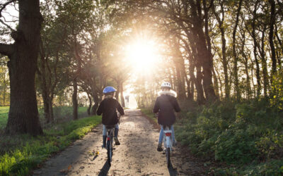 Hyr en cykel hos oss och utforska halvöns natur på två hjul. 200:- per person / dag